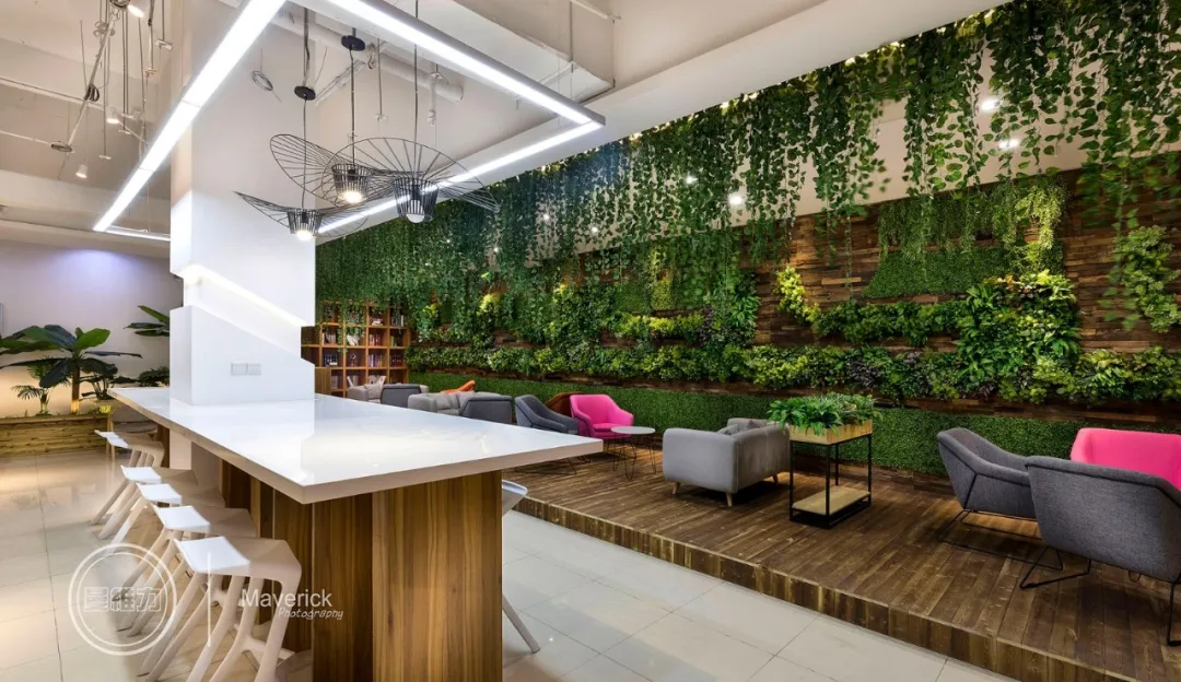 让自然生长于办公空间里 让自然生长于办公空间里