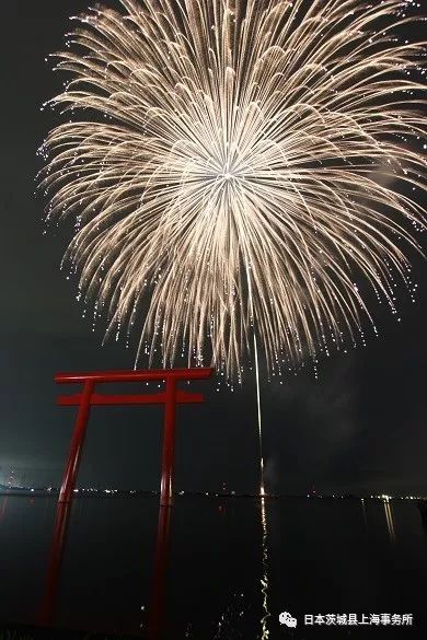 升空的烟火 从下面看还是从侧面看 日本茨城县上海事务所 微信公众号文章阅读 Wemp