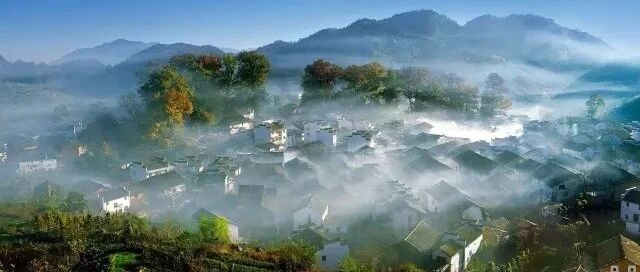 民宿行业大撤退