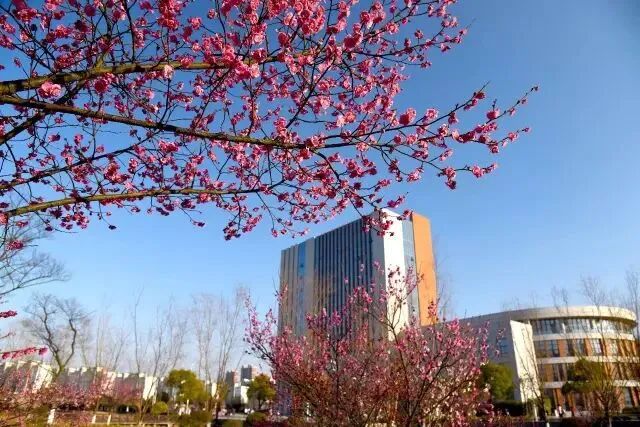 南京師范大學泰州學院_南京師范大學泰州學院教務網_南京師范大學泰州學院招生計劃