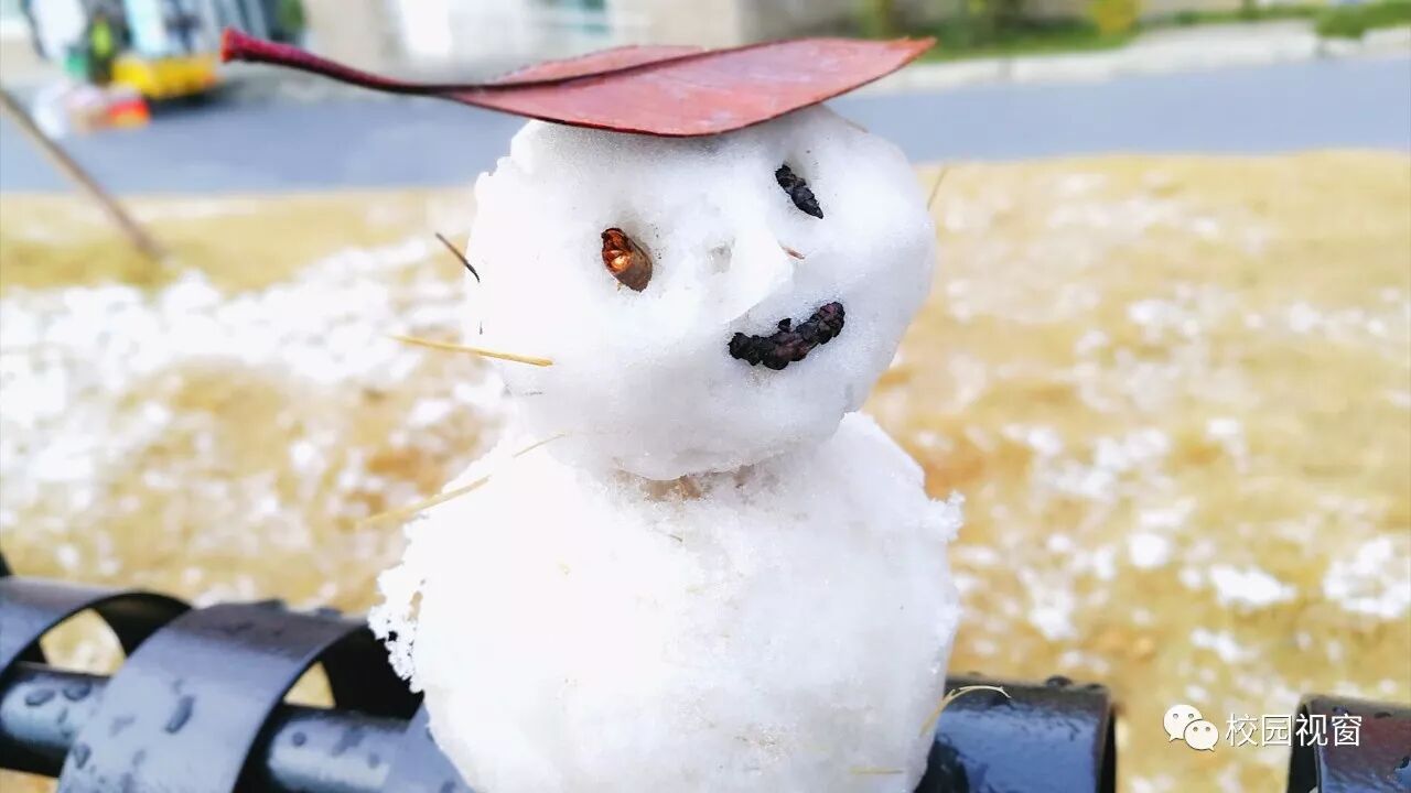 北方的雪人很大,而我们的雪人很袖珍,很可爱.