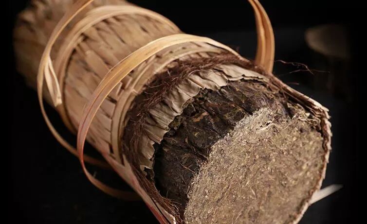 涨知识，安化千两茶的四大优势