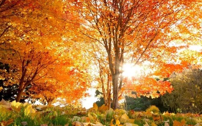 立秋之后喝黑茶，秋燥秋乏都不怕！