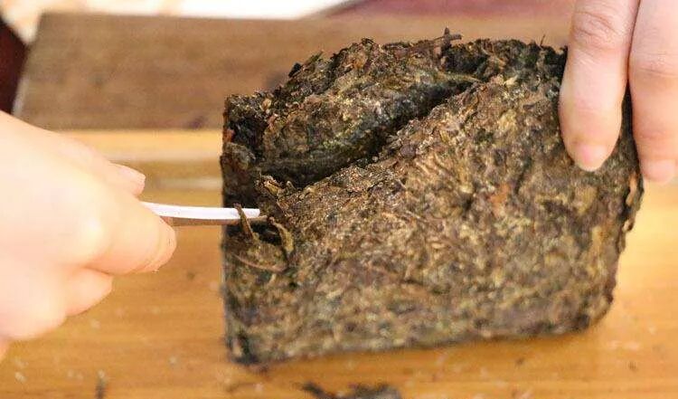 【黑茶知识】黑茶中茶砖的撬茶方法