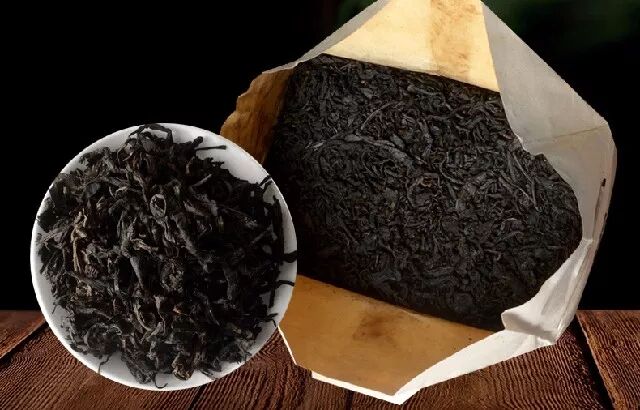 为何安化黑茶原料会“粗老”