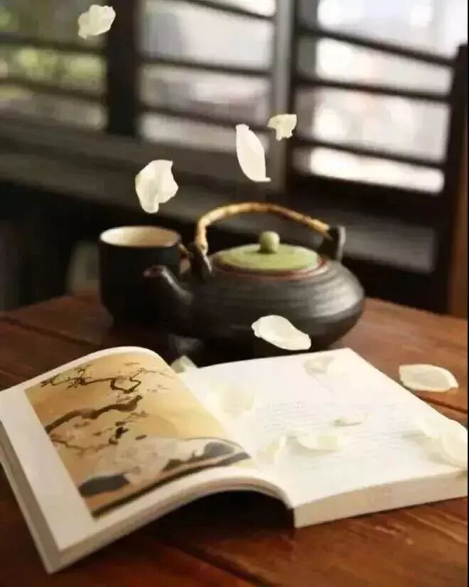 将往事煮成茶，从此清苦不为它