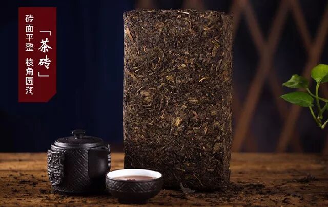 劣质黑茶请马上扔掉，好的黑茶才有收藏价值