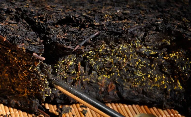 安化黑茶中茯砖“金花”的特别之处