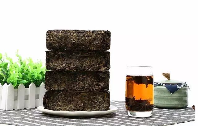 黑茶为什么都会含梗？黑茶茶梗的重要性你知道吗？