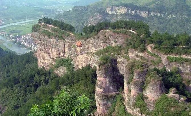 生长在冰碛岩中的安化黑茶