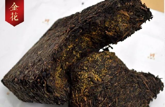 黑茶里的“金花”的五个特别之处