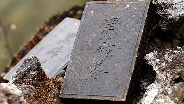 只需三步，黑茶滋味恰到好处