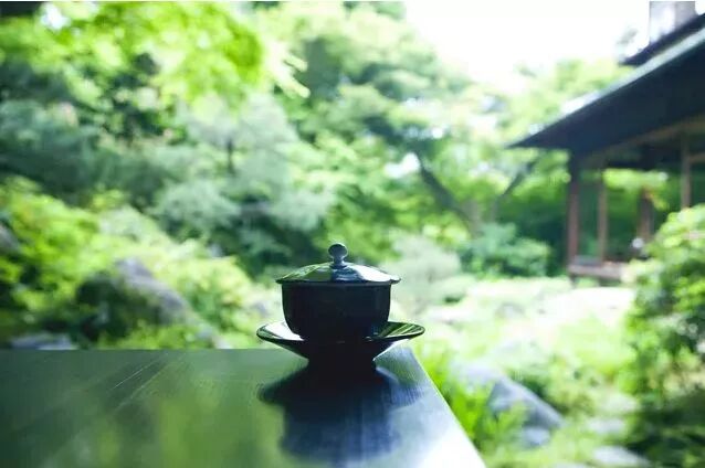 黑茶人生：2020，约你喝茶，只因为想你了