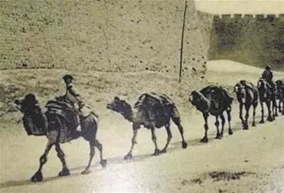 【历史】安化茶 曾经影响世界