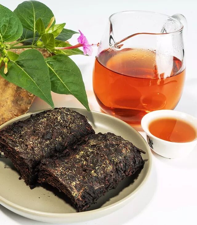 冬季，你需要多喝黑茶