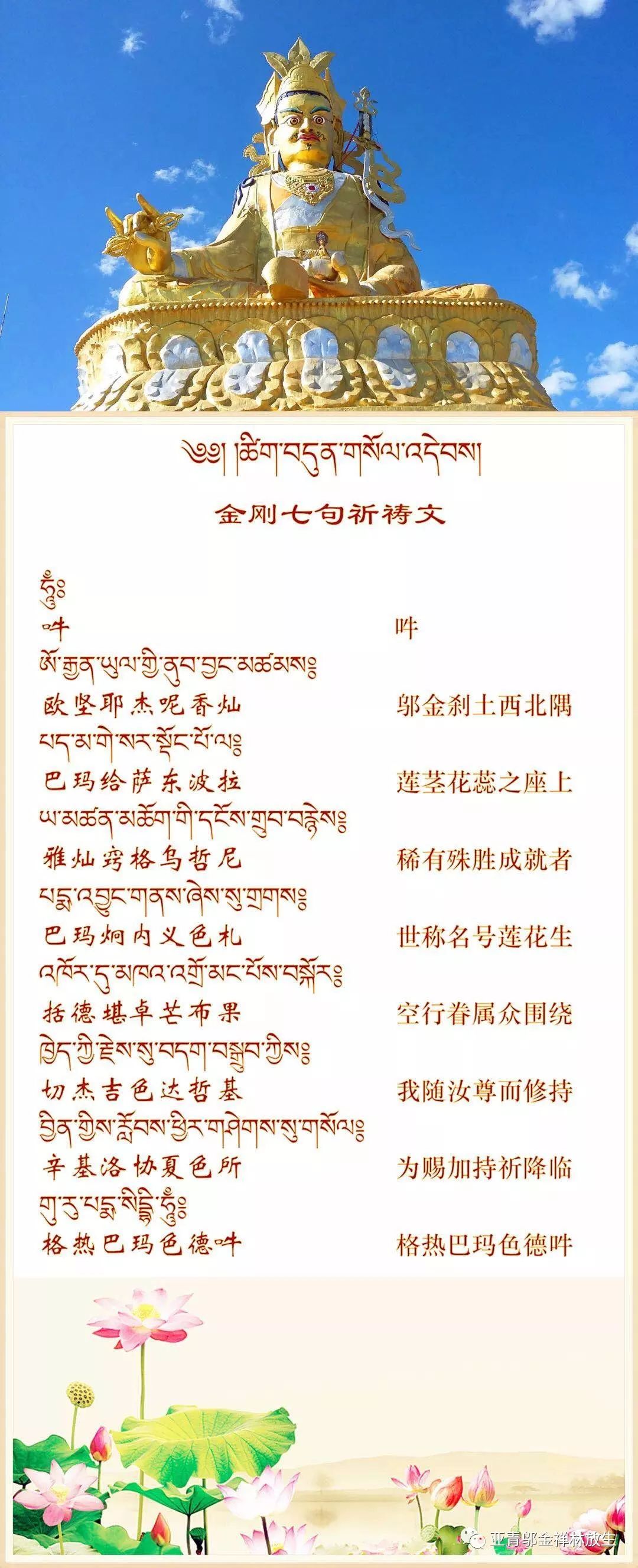 Buddhist Day 莲师荟供日 亚青邬金禅林放生 微信公众号文章阅读 Wemp