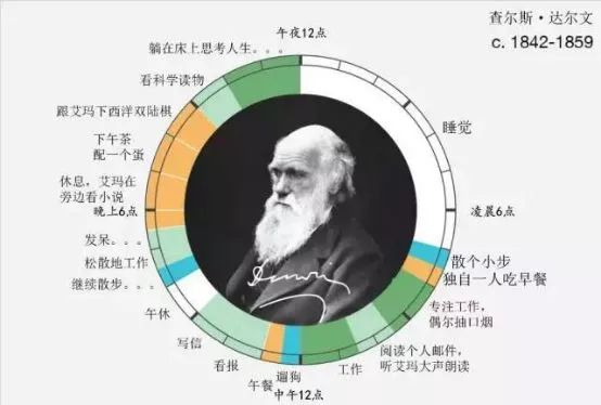 「天天刷抖音的同事，月薪是我的兩倍」 職場 第4張