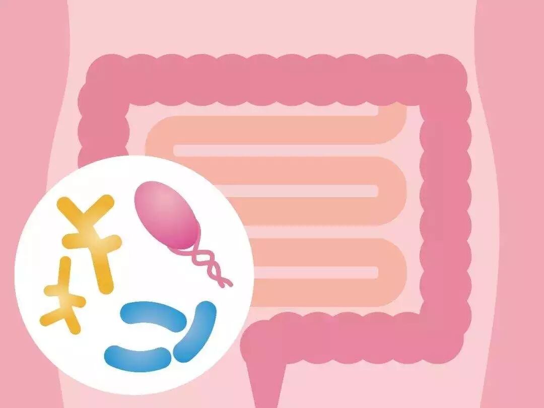 人体90%的疾病与肠道问题有关！清肠首选光明膳纤饮