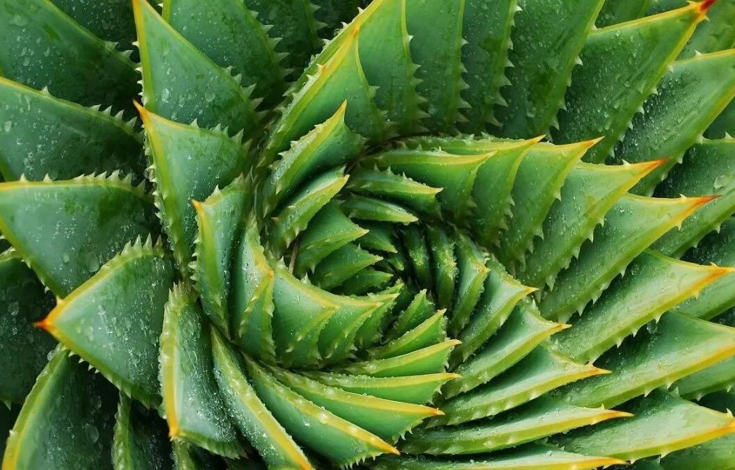 保持轻松体态——清清的秘诀(三)