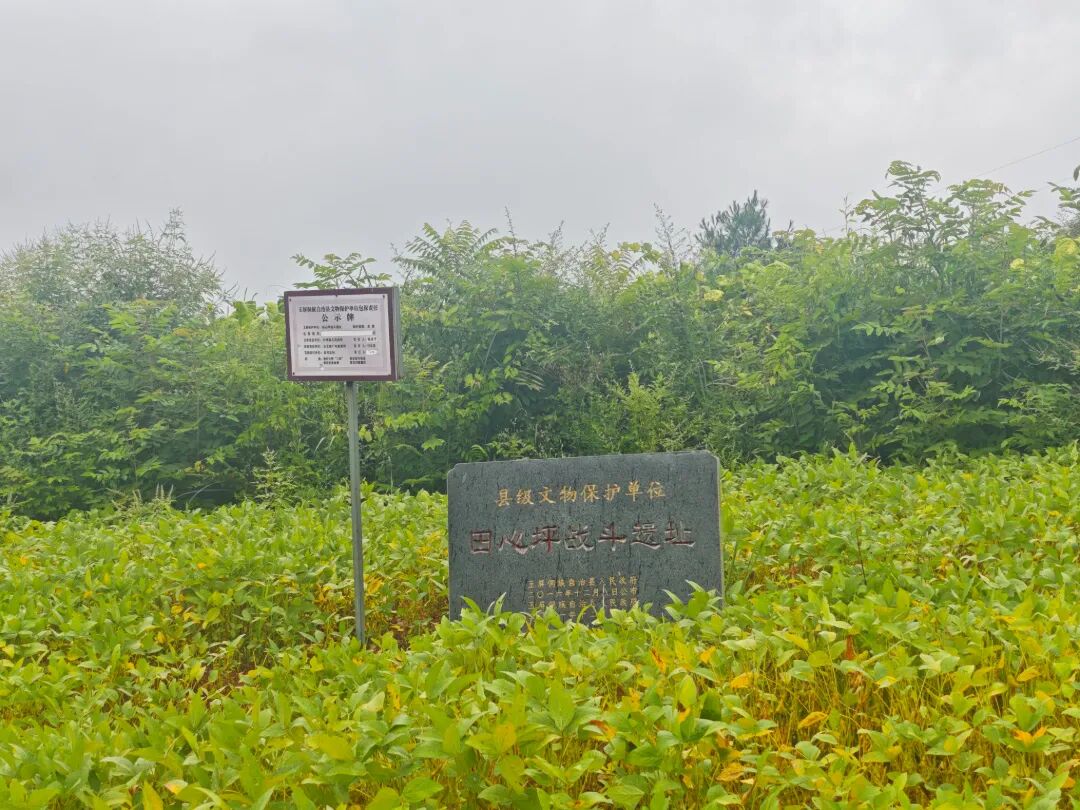 田心坪战斗遗址.jpg