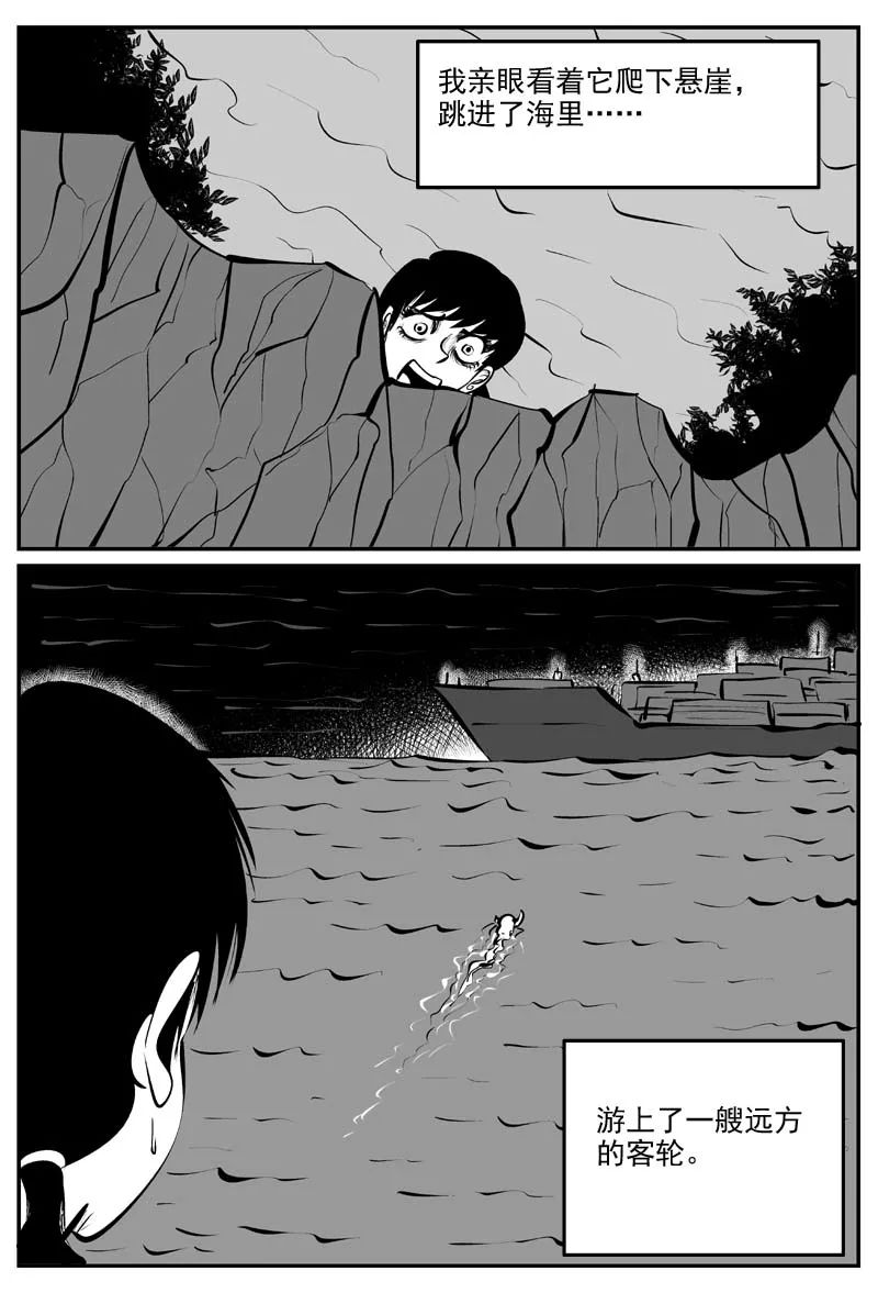 【驚悚漫畫】《迷之島》掩蓋事情的真相 靈異 第164張