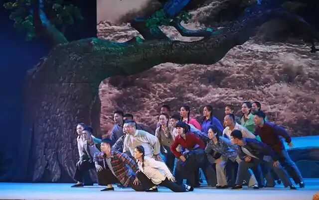 梁悦玲丨又是丁香花开时——怀念老所长柳志雄先生 第2张