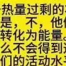 生能视角6:《食物谎言》等