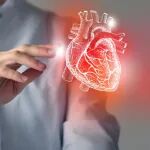生酮:瘦体超敏者无法避免动脉粥样硬化