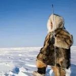 Nikoley:因纽特人吃碳水和益生元