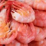 格兰特2023低A饮食调查结果