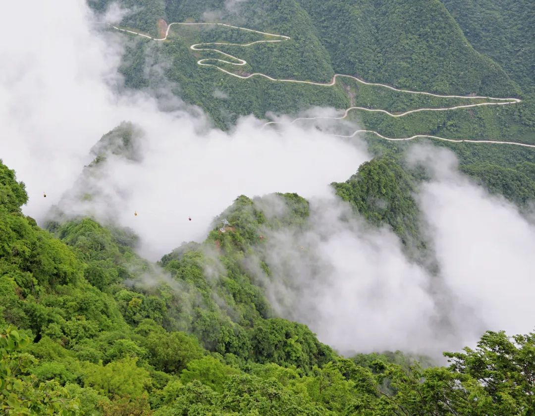 龙头山清明踏青观云海赏奇石漫步绝壁栈道打卡超长电梯