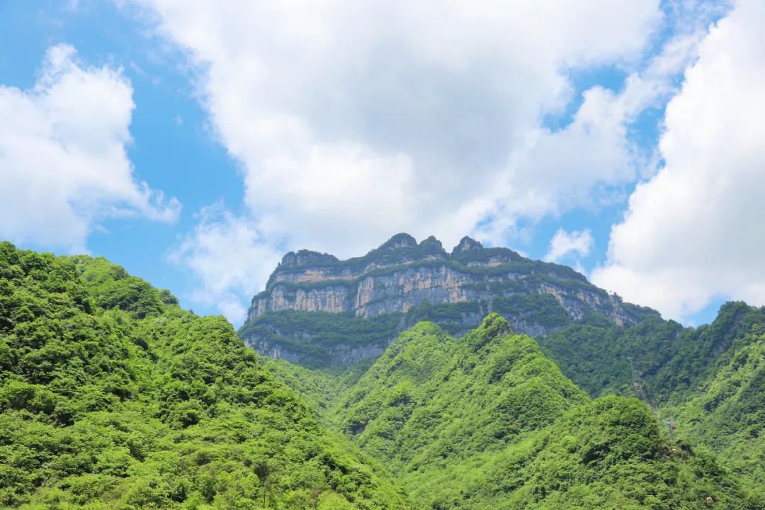 酉阳县龙头山图片