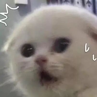 怎么买医用胶水科普｜你听说过医用胶水吗？_https://www.jmylbn.com_新闻资讯_第1张