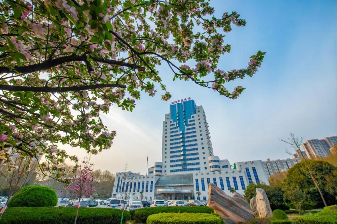 軍醫大的錄取分數線是多少_軍醫學院校大學錄取分數線_2023年第四軍醫大學招生網錄取分數線