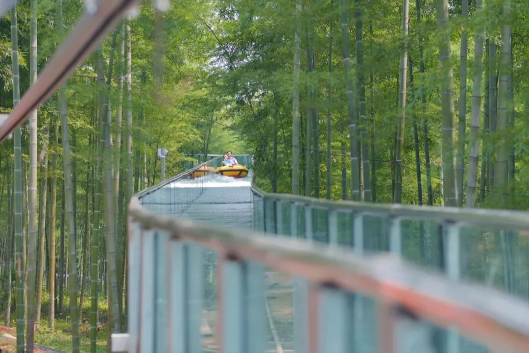 2020航空夏令营-4543 