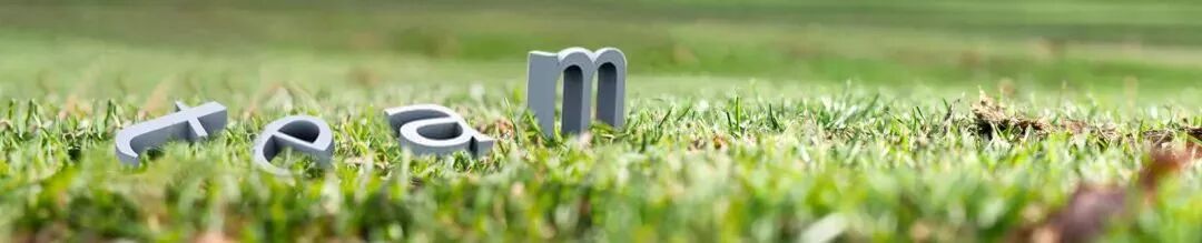 拓展基地,团建,公司团建,企业团建,拓展培训,拓展训练-启点拓展