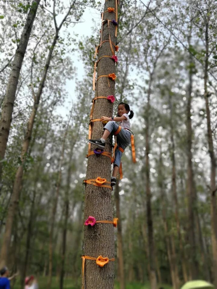 【2018树屋冬令营】森林木屋奇幻历险记（4天独立营）