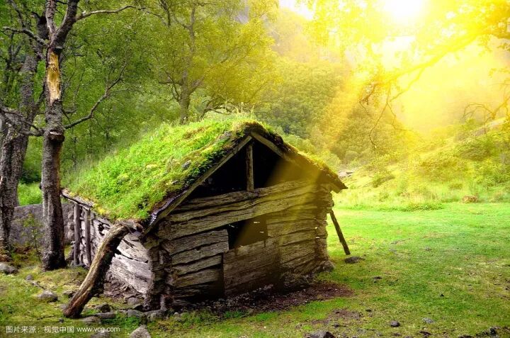 【2018树屋冬令营】森林木屋奇幻历险记（4天独立营）