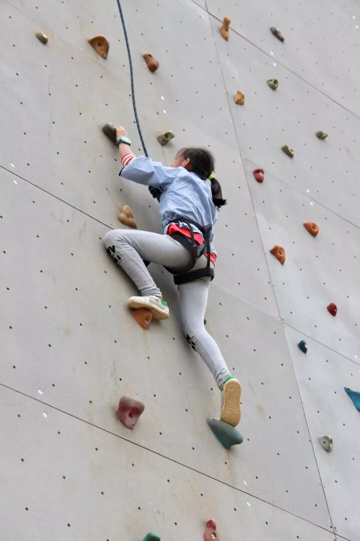 【2018树屋冬令营】森林木屋奇幻历险记（4天独立营）