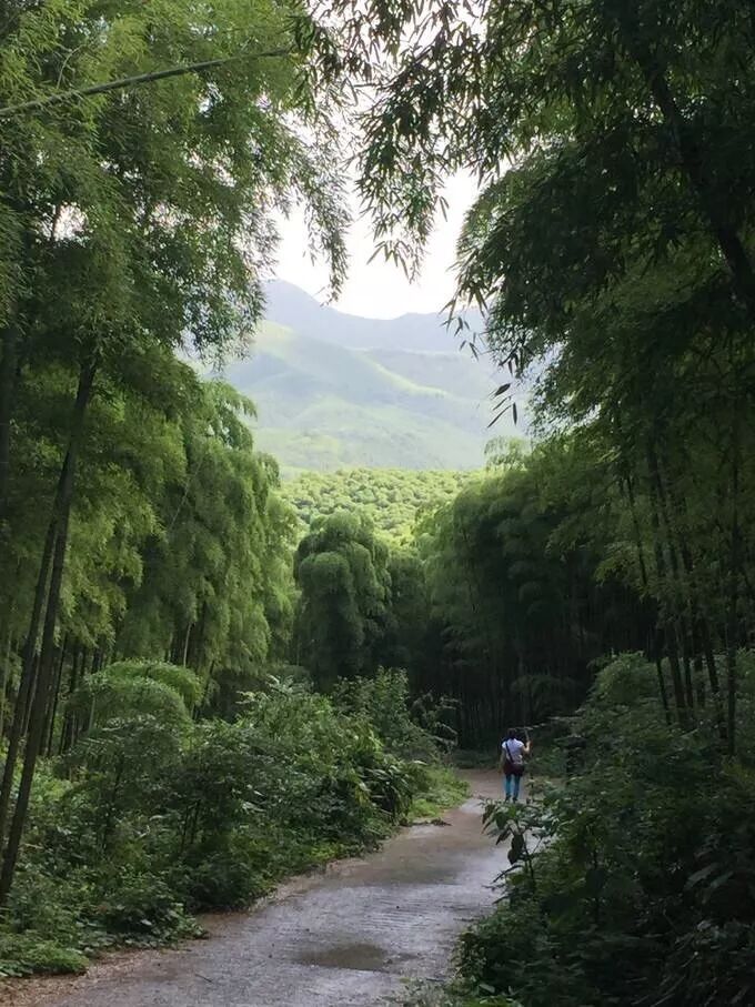 【2018树屋冬令营】森林木屋奇幻历险记（4天独立营）