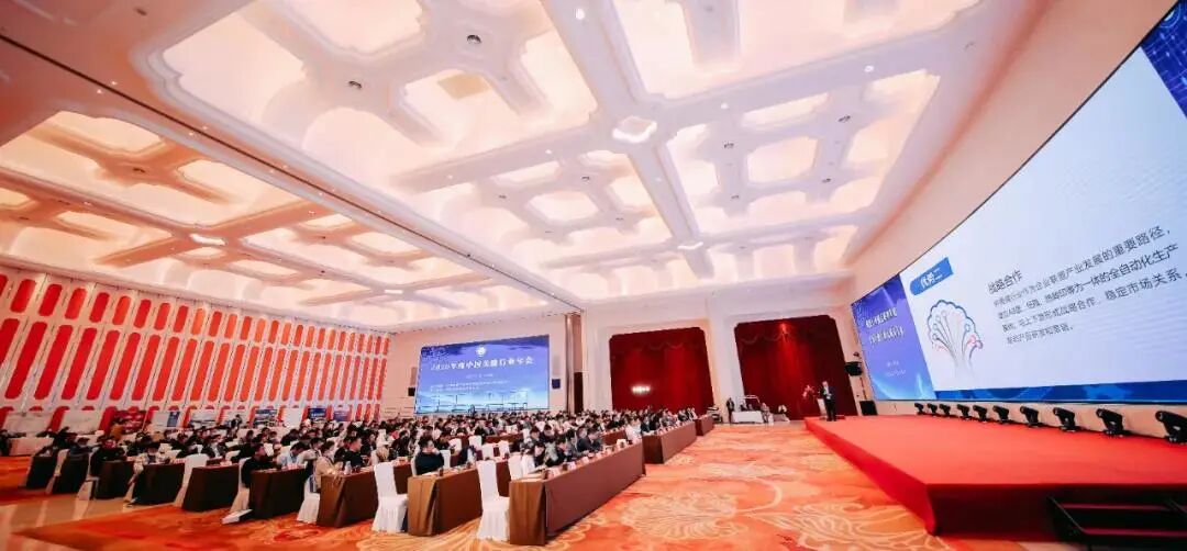 美缝行业影响力品牌