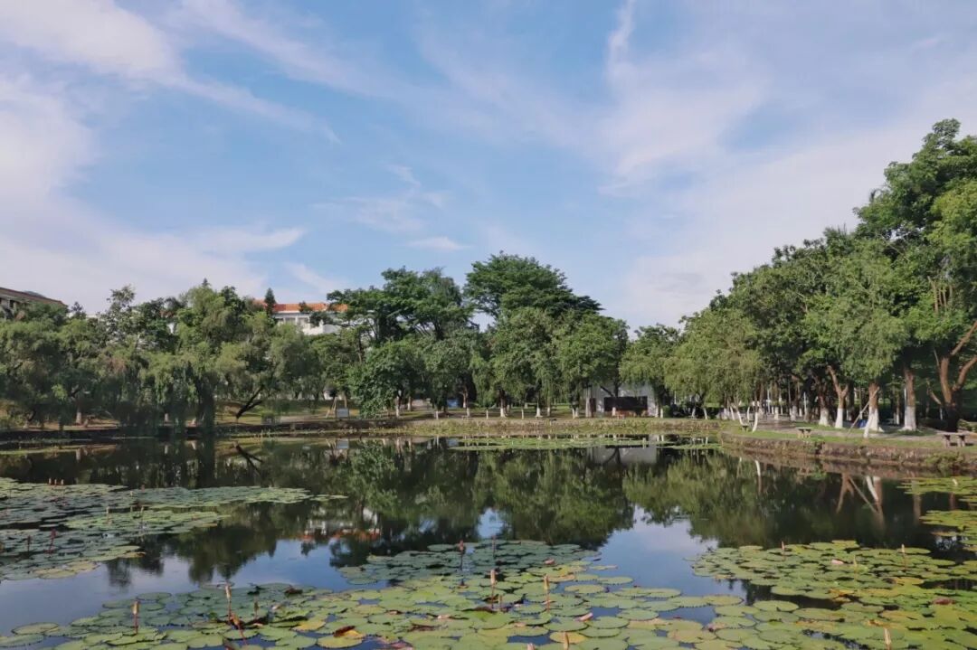 景色宜人~毗邻北岭山森林公园的肇庆学院,坐落于国家级风景名胜星湖