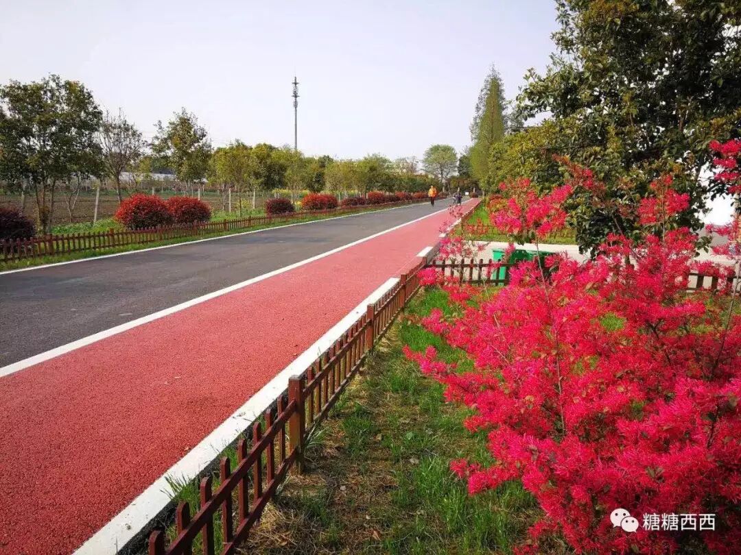 锡山鹅湖3000人摇滚炫跑五月震撼来袭