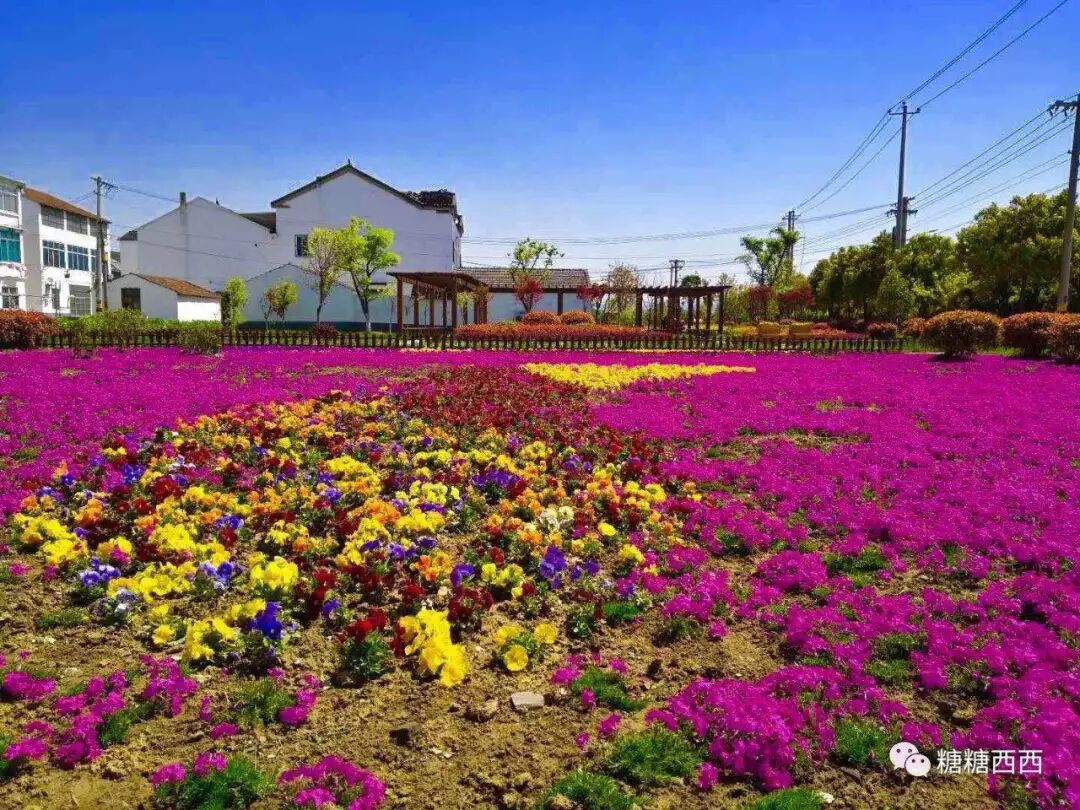 锡山鹅湖3000人摇滚炫跑五月震撼来袭