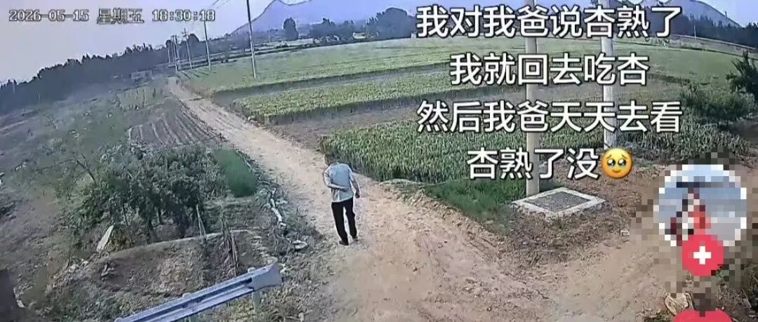 文章封面
