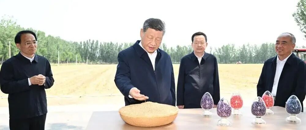 文章封面