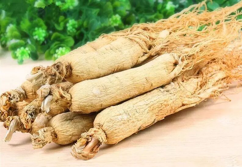 白参、红参、西洋参、野生参……这么多“人参”，到底怎么选用？