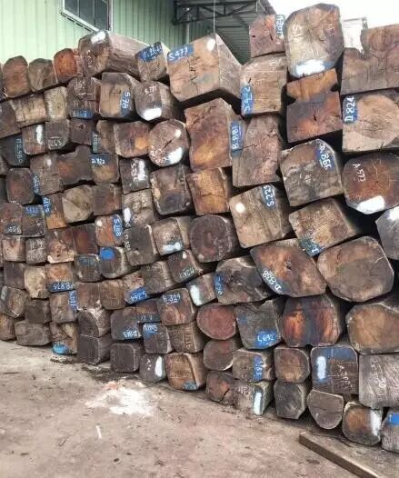 鱼珠木材供应专场精品木材优价批售