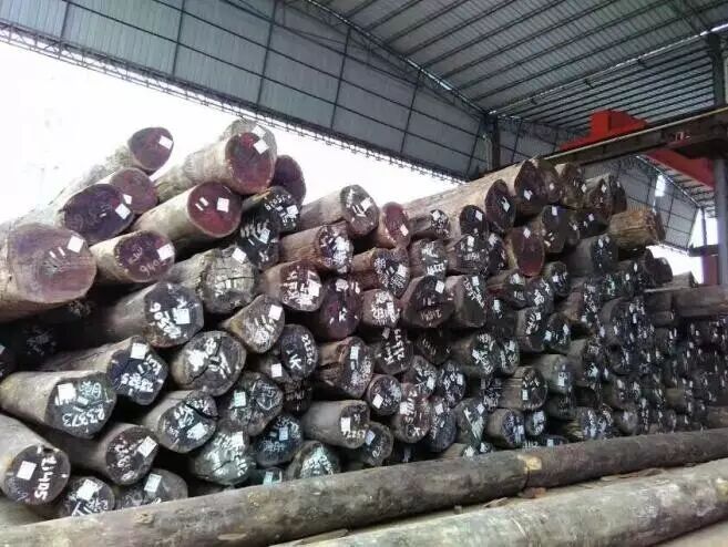 鱼珠木材供应专场精品木材优价批售