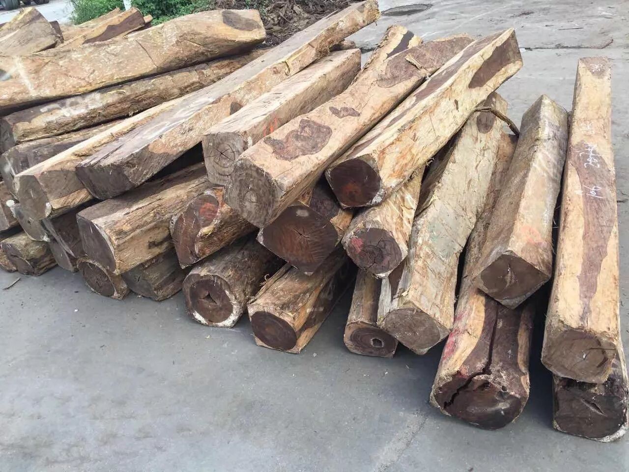 鱼珠木材供应专场缅甸柚木刺猬紫檀精品热销中